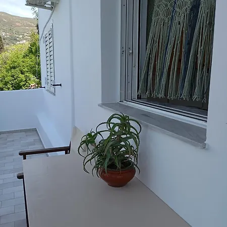Green House Karystos  Extérieur photo