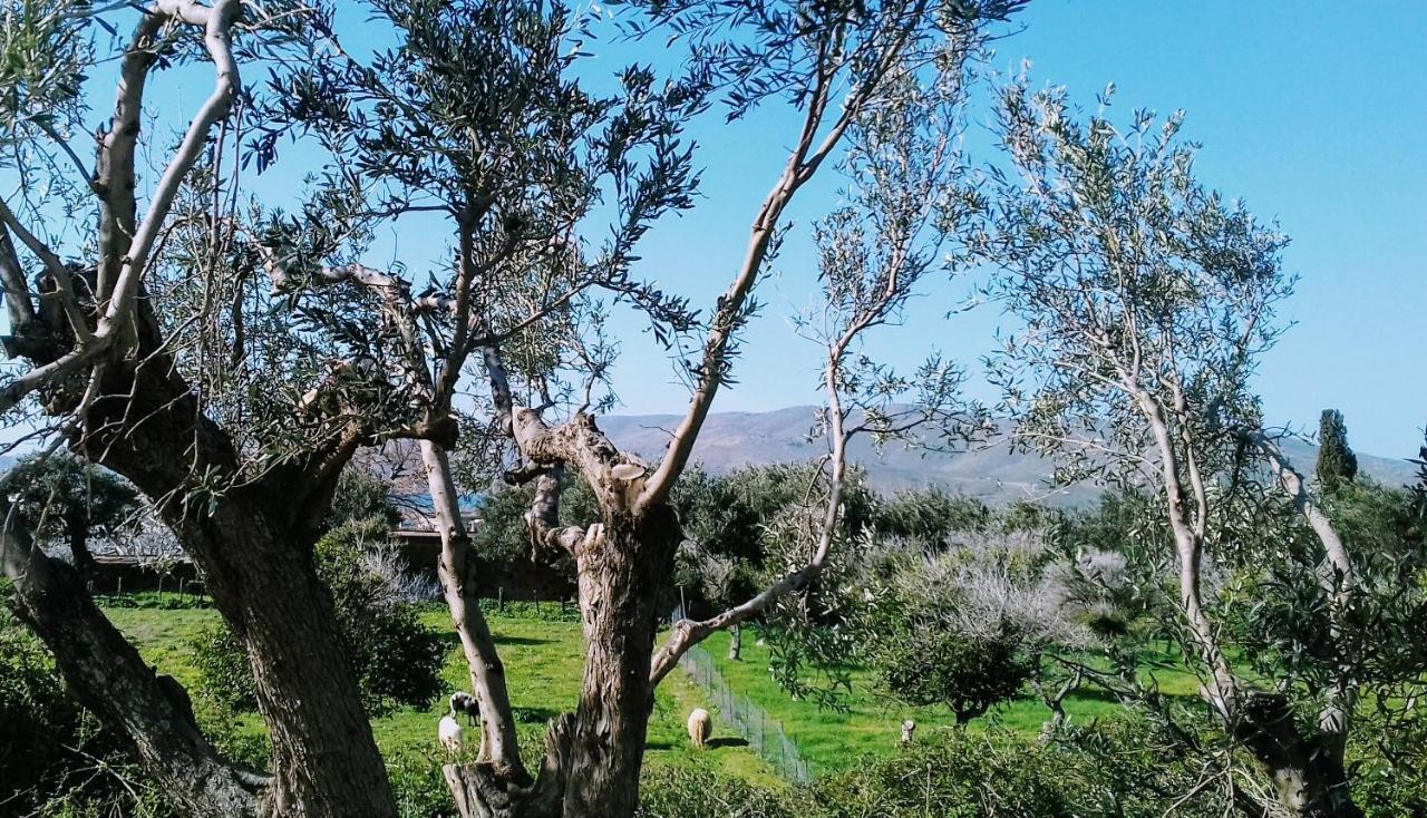 House Karystos (Evia)